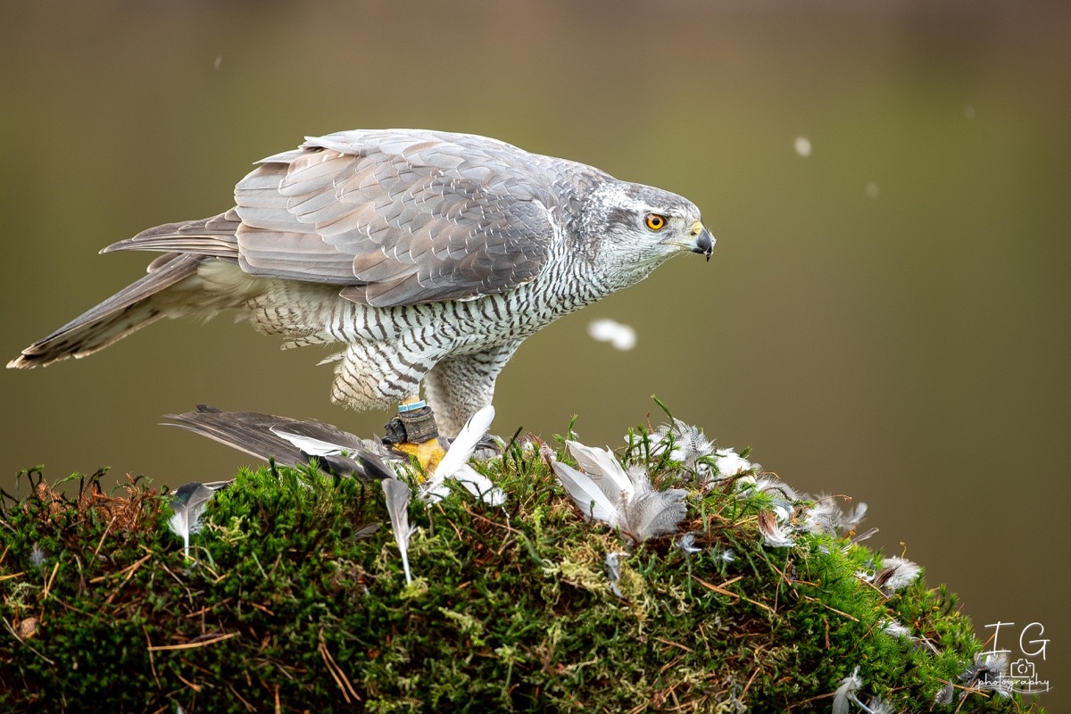 AK6I1428 31 oktober 2021 1457 22